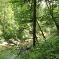 The East Fork of the Lewis River parallels the Moulton Falls Trail.