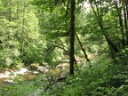 The East Fork of the Lewis River parallels the Moulton Falls Trail.