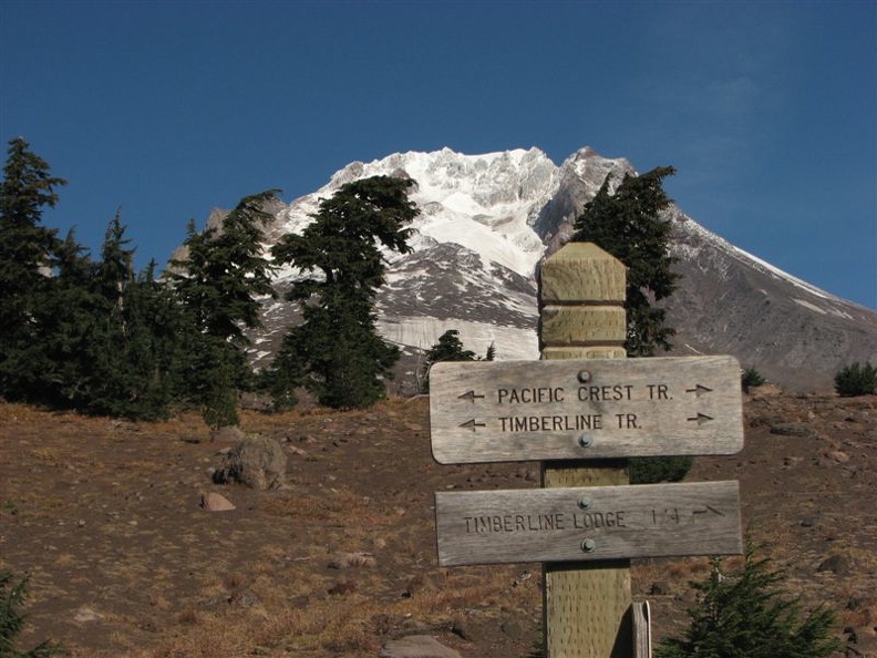 At the junction for the Palmateer Trail you can see Mt. Hood rising in the distance. This trail is covered by snow for much of the year.