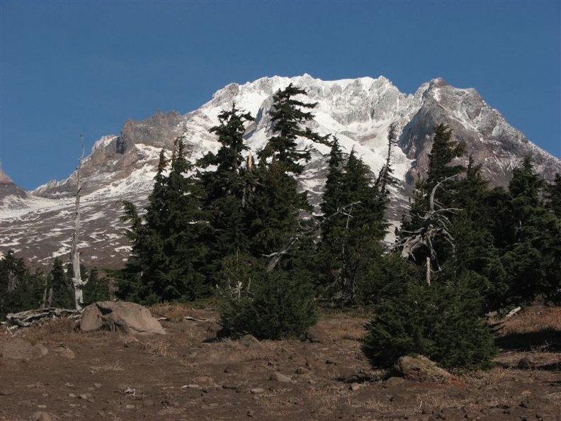 Climbing the Palmateer trail soon brings you to the timberline and the views become more impressive with every few steps.