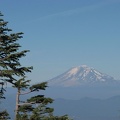 Mt. Adams looms in the distance from a panoramic viewpoint along the Mt. Defiance Trail.