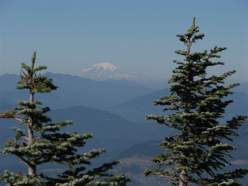 Mt. Rainer can easily be seen in the distance from a panoramic viewpoint along the Mt. Defiance Trail.