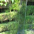 Water trickles down a moss-covered retaining wall descending down to Zigzag River.
