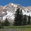 Fields of wildflowers abound in Paradise Meadows on Mt. Hood in the summer.