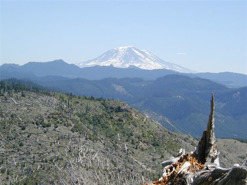 Mt_Adams1.jpg