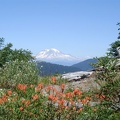 Mt Rainier1