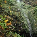 A small waterfall cascades down just above the the Gorge Trail.