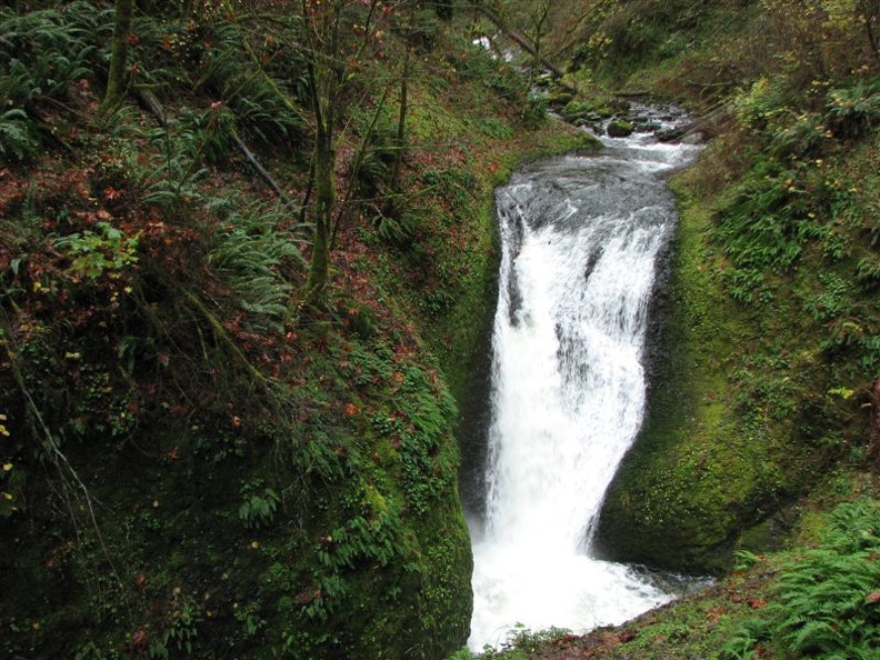 Oneonta Creek has a small waterfall just upstream from where Trail #400 crosses Oneonta Creek Trail.