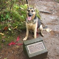 Jasmine sits in front of a small memorial dedicated to Glenn Replogle who fell from the cliffs and died. This is located just west of Ponytail Falls along the clifs.