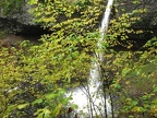 Ponytail Falls shoots out over the cliff into a large plunge pool. The trail goes into the small gorge for Horsetail Creek and then behind this waterfall.