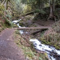 Wahkeena Creek Trail