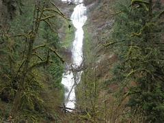 Munson Creek Falls cascades 319 feet down a cliff at the head of the valley. This is the tallest waterfall in the Coast Range.