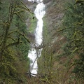 Munson Creek Falls cascades 319 feet down a cliff at the head of the valley. This is the tallest waterfall in the Coast Range.