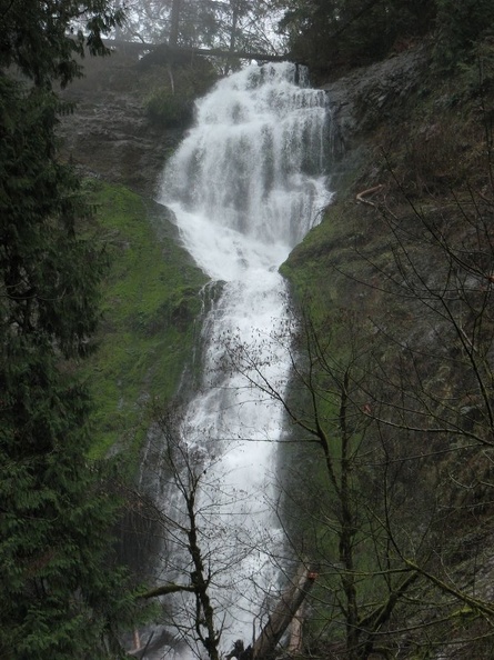 Munson Creek Falls is the tallest waterfall in the Coast Range. It cascades 319 feet down a cliff at the head of the valley. This picture was taken early spring when the water flows freely.