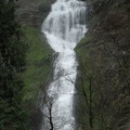 Munson Creek Falls is the tallest waterfall in the Coast Range. It cascades 319 feet down a cliff at the head of the valley. This picture was taken early spring when the water flows freely.