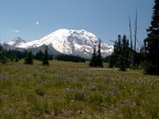 Naches Peak Trail