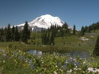 Naches Peak Trail