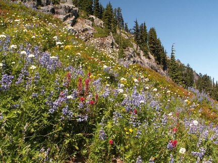 Naches Peak Trail