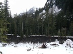 Nisqually River