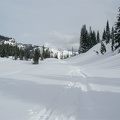 Snowshoe trail on the Stevens Canyon Road