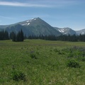 Looking at Mt. Fremont from Grand Park with the flowers in full bloom in mid-July.