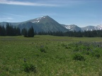 Looking at Mt. Fremont from Grand Park with the flowers in full bloom in mid-July.