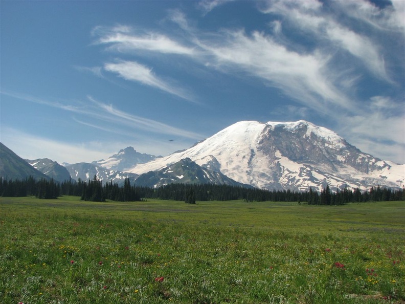 Looking at Mt. Rainier from Grand Park with the flowers in full bloom in mid-July.