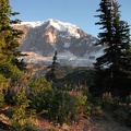 Mt. Rainier from just north of the saddle between Moraine Park and Mystic Lake on the Wonderland Trail.