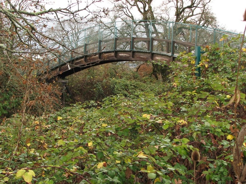 Wood arch bridge over the railroad tracks at the Ridgefield National Wildlife Refuge.