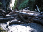 Oneonta Gorge logjam