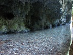 Oneonta Gorge