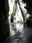 Oneonta Gorge