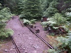Abandoned logging operation at Merten Mills
