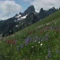 Meadows of lupines and Indian Paintbrush frame the Cowlitz Chimneys above the Owyhigh Trail.