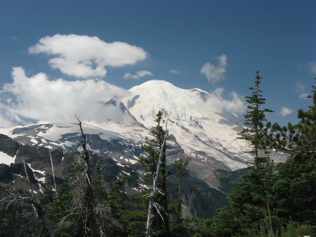 Mt. Rainier from the user trail from Owyhigh Lakes to Tamanos Mtn.