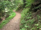 The Owyhigh Trail as it nears the northern end of the trail.