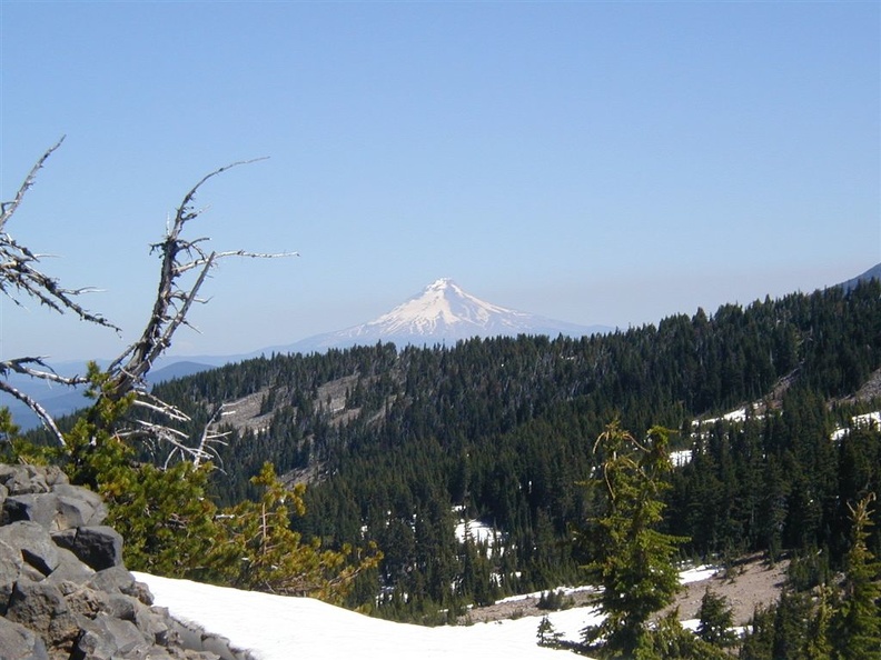 Mt. Jefferson looms larger as we walk farther south. When we started we could barely see Mt. Jefferson and now Mt. Hood becomes smaller each day.