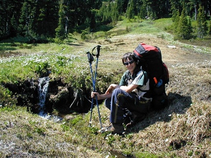 Vernon pauses beside a meltwater stream along the trail.