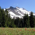 Mt. Jefferson and some of the beautiful wildflowers in Jefferson Park.