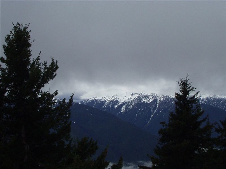 Another look at the hills surrounding Hurricane Ridge.