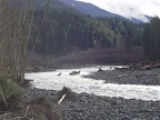 A nice surprise awaited us on the Elwha River, Elk just hanging out.  To bad nobody had a zoom lens with them.