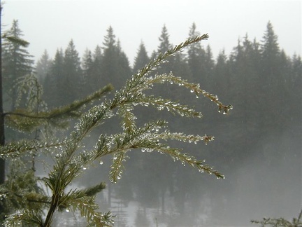 P3070058