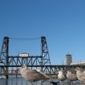 Portland East Bank Esplanade Steel Bridge