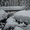 Here you can see a bridge over the creek near Paradise River Camp.