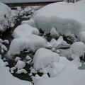 The creeks are so scenic in the winter with all the fresh snow.