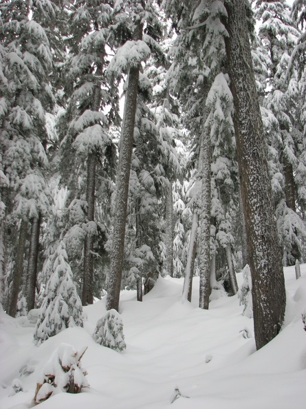 Over the hills and through the woods. Now where is that nice warm house of Grandma's?