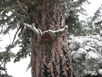 I thought this growth in the tree looked like a Viking helmet with the horns.