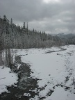 Looking downstream on the bank of the Nisqually River along the Wonderland Trail.