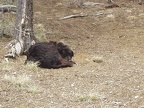 Paulina Lake 056