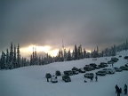 Looking South near sunset on New Year's day.